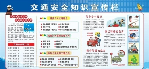 心肺復蘇與藥物過敏反應 關鍵急診操作規程及急救資料獲取